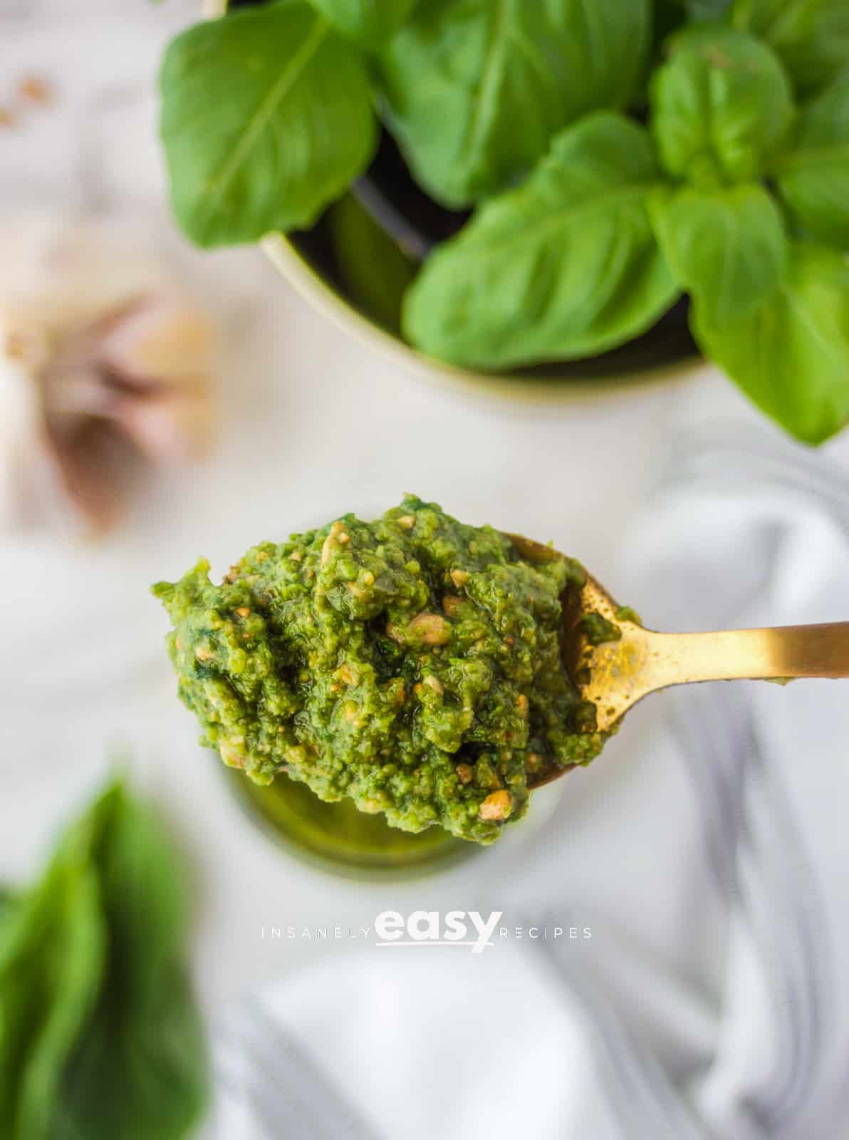 close up photo of a spoonful of nut free pesto surrounded by fresh basil and garlic cloves,