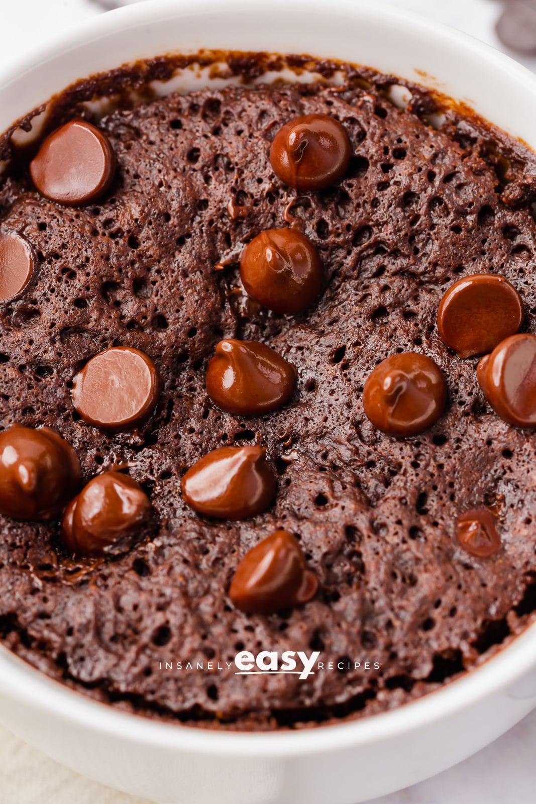 close up of brownie and gooey chocolate chips in a white bowl