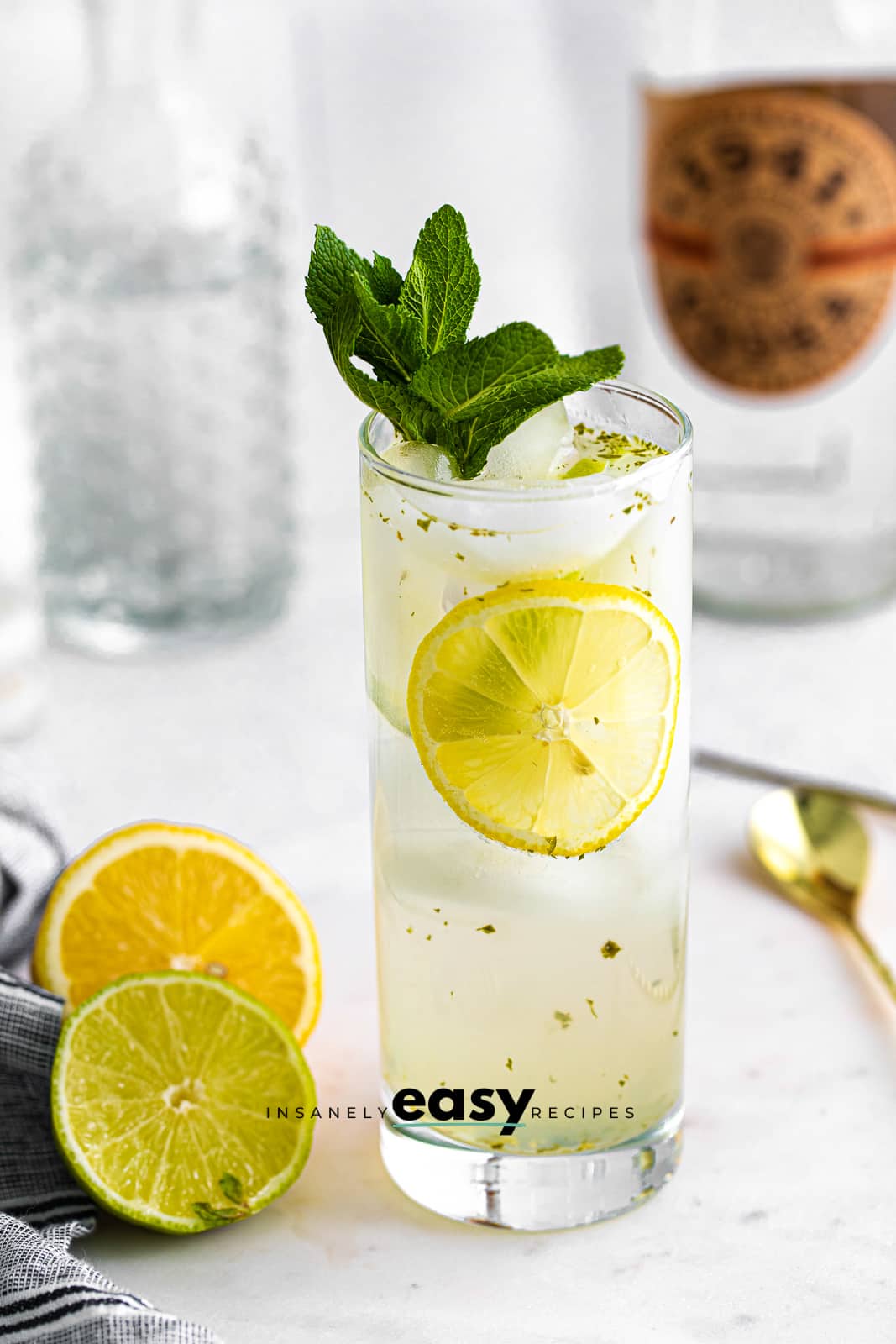 a tall bootlegger cocktail with fresh mint and vodka, slices of lemon and lime.